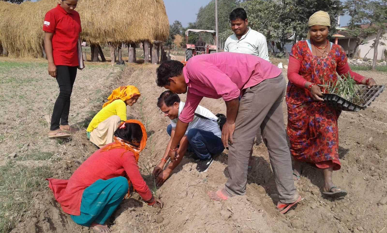 Unlocking Opportunities Through Sugarcane